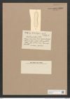 Amphora scarlaris Castr. (de-Toni-Nr.: Genus 36, Species 1691) Zeichnungen Sammlung Grunow Nr. 3235 (NHMW-BOT-W0370700)